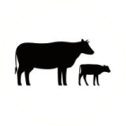Find Agriculture service providers in South Africa