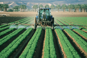 Find Agriculture businesses in South Africa