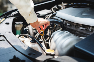 Find Automotive businesses in South Africa